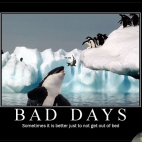 Zły dzien pingwina
