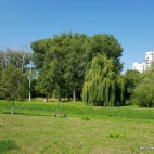 park dolina sluzewiecka 1 (1)