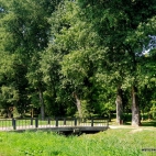 park dolina sluzewiecka 13