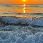 374451761_629611032623499_8404048488041725294_n