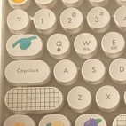 bbd07ae51145a9f9072c52de718c89b9 (1)