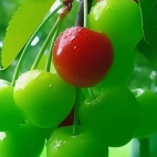 380228545_278515948391753_5271618439838664569_n