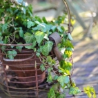 381059914_845273363718342_3929664268633238990_n