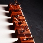 381074385_333416509215319_3684809331677210734_n