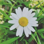 350295757_153436240928256_2554700129052625696_n