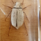 278567789_857222665219148_7055774372926510048_n