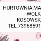 357572857_23857916602770083_1668480037628197778_n