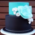 380664228_281885317950517_1272193432134979542_n