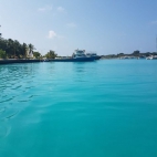 116848220_10158611260429704_2534345501339144462_n