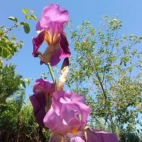 380575935_122104127438046592_1300501410714437764_n