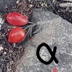 382784504_122093752148063203_3734930121050730169_n