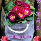 379408840_122095669682051200_8120083313327524594_n