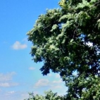 363414446_106911262489183_3363413326873661992_n