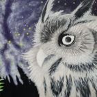 377536411_326193776743815_518227884647728283_n