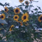 369528733_165507803237289_7144746827973811841_n