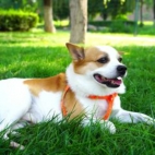 363306032_127928447024373_9072723340871097908_n