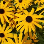 380003050_122101911110045394_3722547404178292757_n