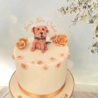 382839206_795370679264514_3820243600002622781_n