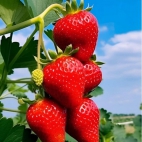 380653904_293626016715423_6245844235680799119_n