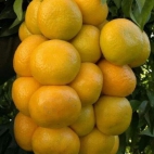 382603485_285435107678389_2103033369905478758_n