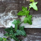 380611654_845274323718246_5512505789808498790_n