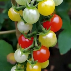 382181758_283739151181318_2032648201008609810_n