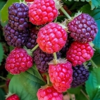 380214890_314689811240774_3148350663051971860_n