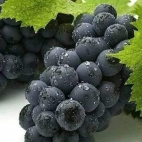 381518483_1037551637386151_4966556941543233419_n