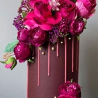 380896094_282159207923128_8473206462304084104_n