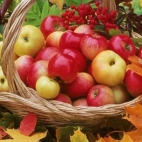 382757902_1027168358735875_230893888858833720_n