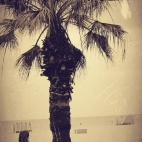 332318869_561271785963765_8319994345926378276_n