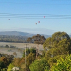 368232079_9882609858478602_1213779305418262669_n