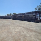 368887879_6438078992947469_1881661448444199562_n