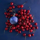 381052522_122101659800049204_5250065992529800865_n