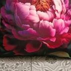 382463873_345761954506552_3428184613305722270_n