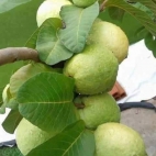 380792373_278715411675557_6678422983196483941_n