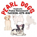 380382615_122094929996051413_773534448664135724_n