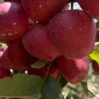 382995149_631409465825053_8238249784113057307_n