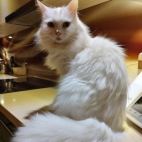 371028245_324958526762702_5155642566904412638_n