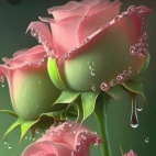 362972299_1410523149730669_5897927509004570743_n (1)