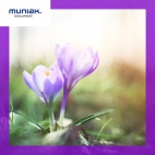 336795223_890804825509547_112198408892608120_n