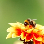 350250764_724866816059493_7488287617001906124_n