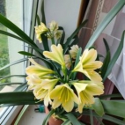 367456348_115635078291575_1397225972167739269_n