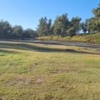 368627399_6520122028064989_3117304228618147296_n