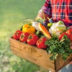 377566313_6441560039297691_411286847473369333_n