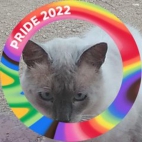 316015123_527250795928458_7840734375069751007_n