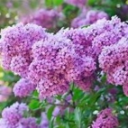 359429565_102297969605051_7861323904304774935_n