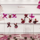 376830770_769699035067760_93001901659102952_n