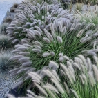 383972863_6626040644138946_8489627877003596236_n