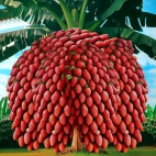 380348840_706221028200067_796129508253454183_n